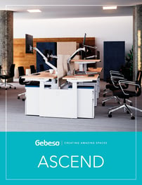 ascend-catalog