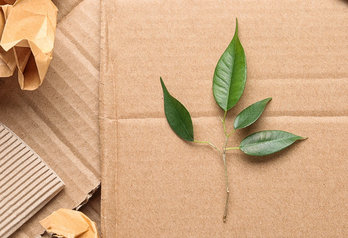 Oliver-Blog-Sustainable-Materials Oliver-Blog-Sustainable-Materials